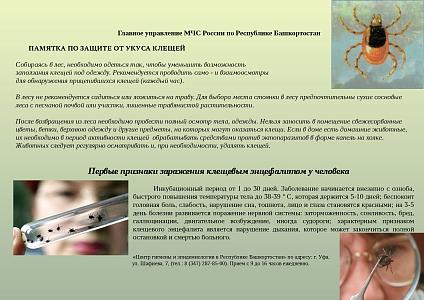 Мои безопасные каникулы (Клещевой энцефалит)